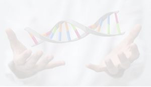 1111 e1593540546712 300x174 - dna hand