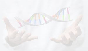 11111 300x175 - dna hand