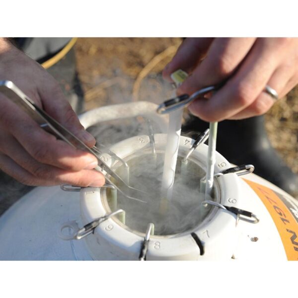 نگهداری اسپرم