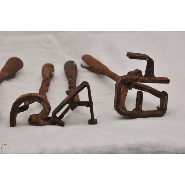 1 600x600 - نشانه گذاری دام