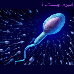 اسپرم چیست؟