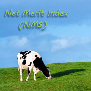 شاخص شایستگی خالص