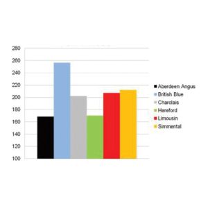 نمودار 3- مقایسه قیمت فروش تلاقی های نژاد گوشتی مختلف با هلشتاین