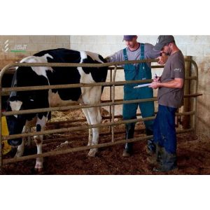 عکس روی صفحه سایت نهایی 300x300 - عکس-روی-صفحه-سایت-نهایی