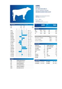 2.LIONEL pdf 212x300 - 2.LIONEL