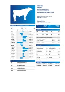 6 HOLDON pdf 212x300   6 HOLDON