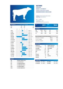 8. VICTORIO pdf 212x300 - 8. VICTORIO