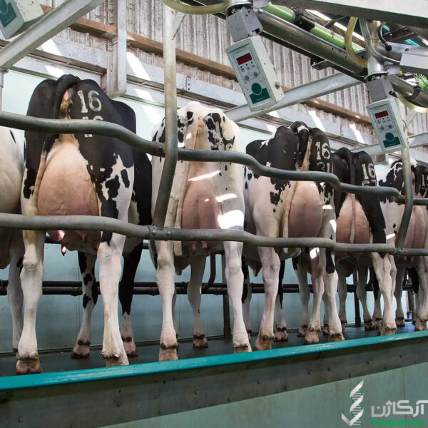 روی ژنتیک هدفمند سرمایه گذاری کنید